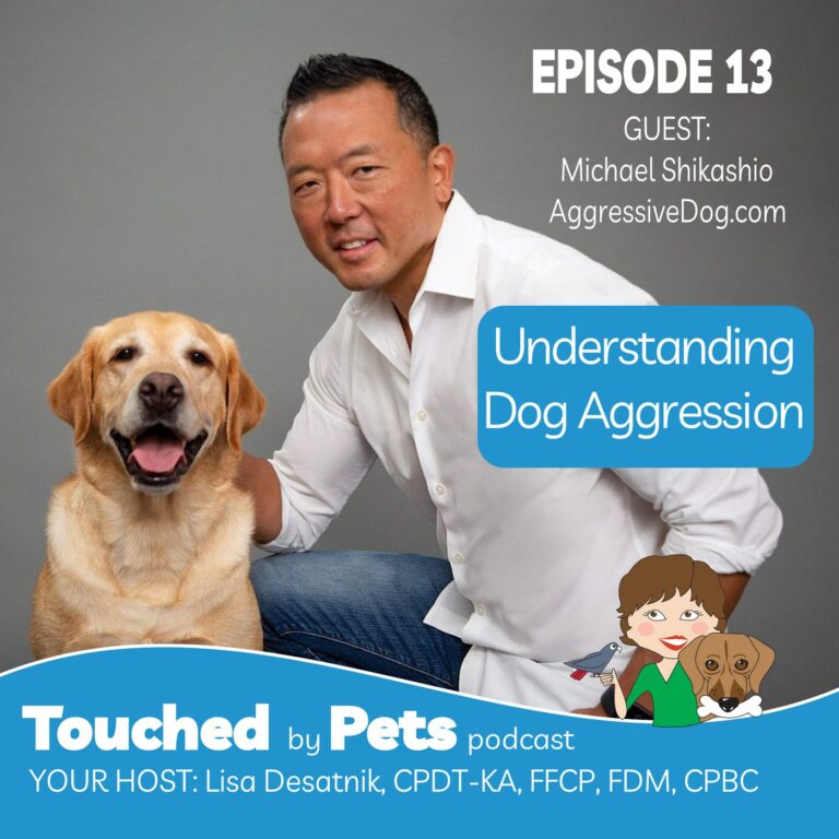 Episode 13: Understanding Aggression in Dogs