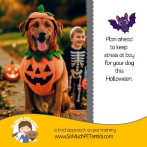 Planning ahead: tips from Cincinnati Certified Dog Trainer Lisa Desatnik for minimizing your dog's stress this Halloween. Photo: dog wearing a Halloween costume with a child trick-or-treater in the background