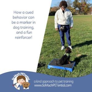 Cincinnati dog trainer has tips: How a cued behavior can help teach your dog another behavior