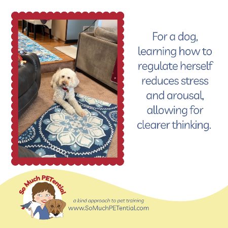 A Tether Can Help Teach Your Dog To Regulate