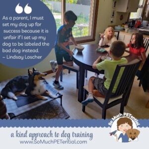 Managing your family dog and neighborhood kids at playtime can be a challenge, but is important for everyone's safety.