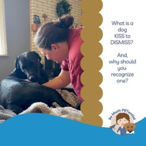 What is a dog Kiss to Dismiss? And why should you learn about your dog's stress signals? Learn more in this blog post. Photo: a black lab mix giving a Kiss to Dismiss when his guardian leans over him to rub him.