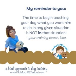 a dog training tip: if you are frustrated with your dog's behavior in a situation, the time to teach an alternative behavior is NOT during that situation.