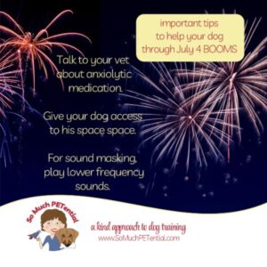 tips lowering your dog's stress during July 4 fireworks