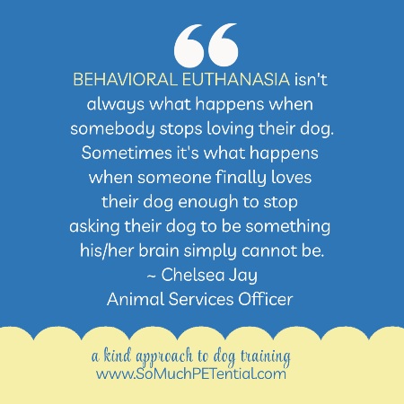 Behavior euthanasia isn’t always what happens when somebody stops loving their dog. Sometimes it’s what happens when someone finally loves their dog enough to stop asking their dog to be something his/her brain simply cannot be. ~Chelsea Jay, animal services officer
A dog parent’s perspective on dog behavior euthanasia
