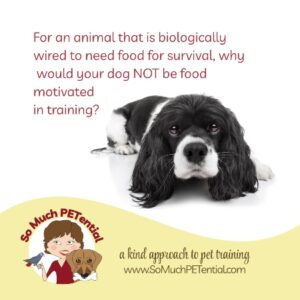 For an animal that is biologically wired to need food for survival, why would your dog not be food motivated in training? Some reasons are in this blog post.