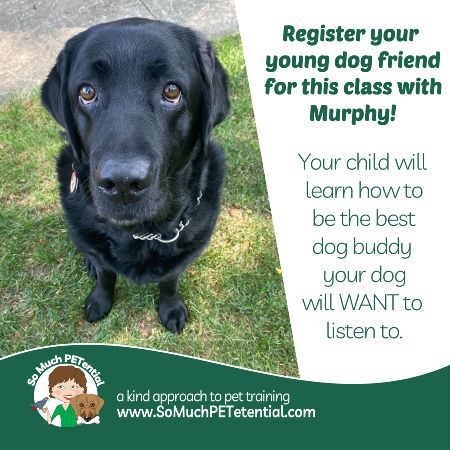 Register your child for this kids' class on dogs by Lisa Desatnik of So Much PETential